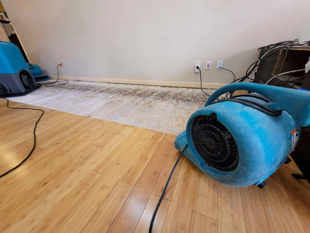 Professional Flood Damage Cleanup technician working in Twin Lakes, CA